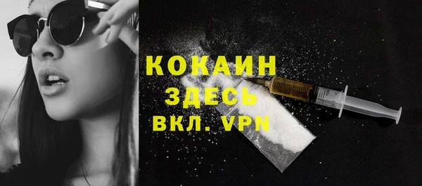 ГАЛЛЮЦИНОГЕННЫЕ ГРИБЫ Бородино