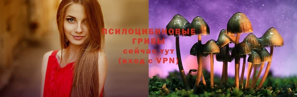ГАЛЛЮЦИНОГЕННЫЕ ГРИБЫ Бородино