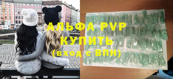 ГАЛЛЮЦИНОГЕННЫЕ ГРИБЫ Бородино