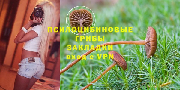 ГАЛЛЮЦИНОГЕННЫЕ ГРИБЫ Бородино